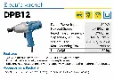 DPB12.webp