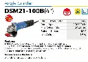 DSM21-100B.webp