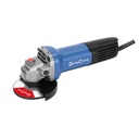 DSM21-100B